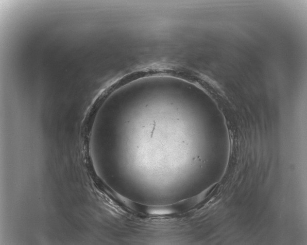 X0000067901160200604171355