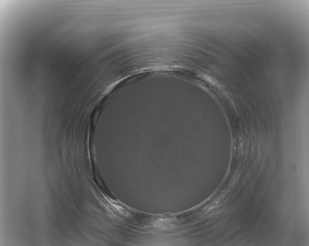 X0000067901161200604171355