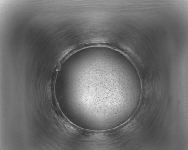 X0000067901162200604171355