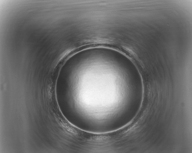 X0000067901163200604171355