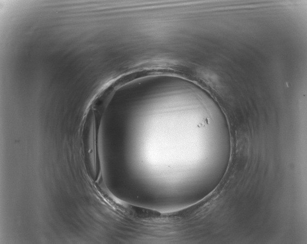 X0000067901164200604171355