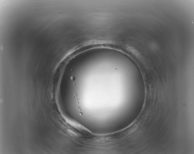 X0000067901165200604171355