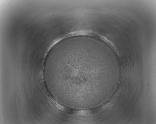 X0000067901166200604171355