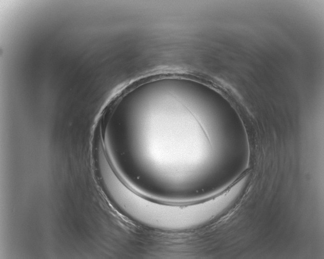 X0000067901168200604171355