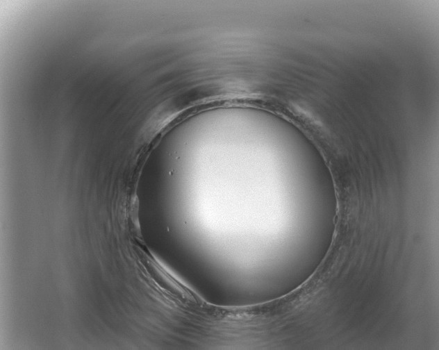 X0000067901169200604171355