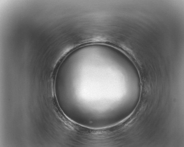 X0000067901171200604171355