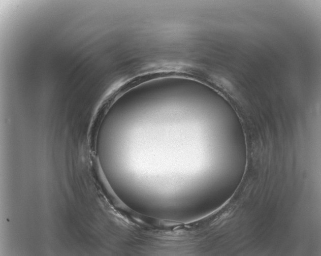 X0000067901172200604171355