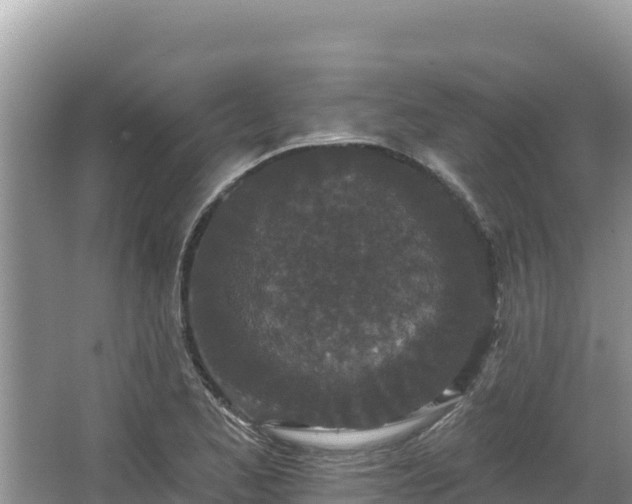 X0000067901173200604171355