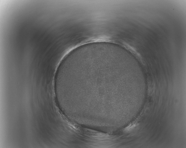 X0000067901174200604171355