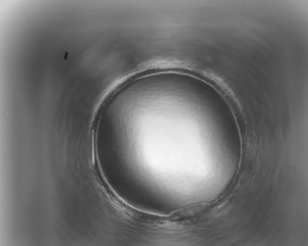 X0000067901175200604171355