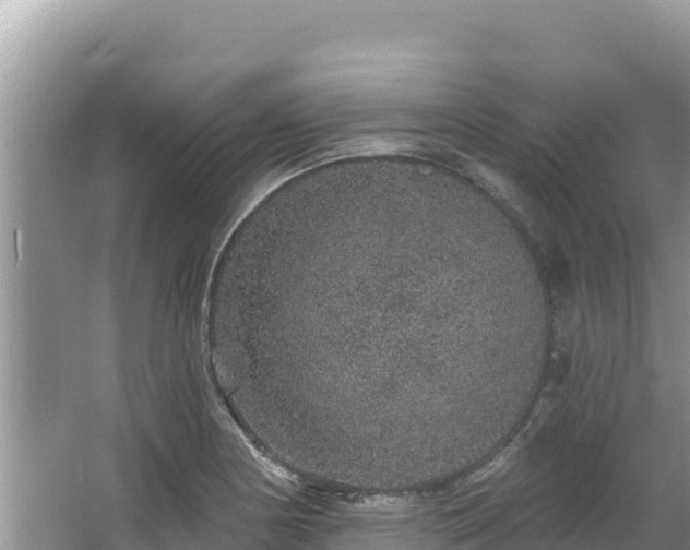 X0000067901178200604171355