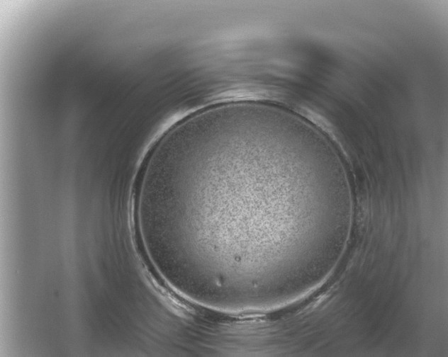 X0000067901179200604171355