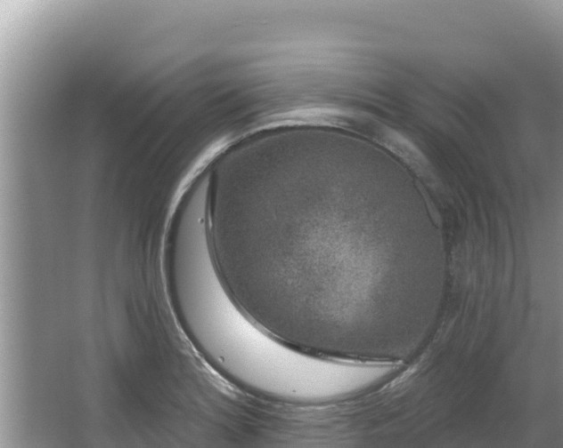 X0000067901180200604171355