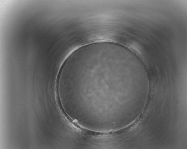 X0000067901182200604171355