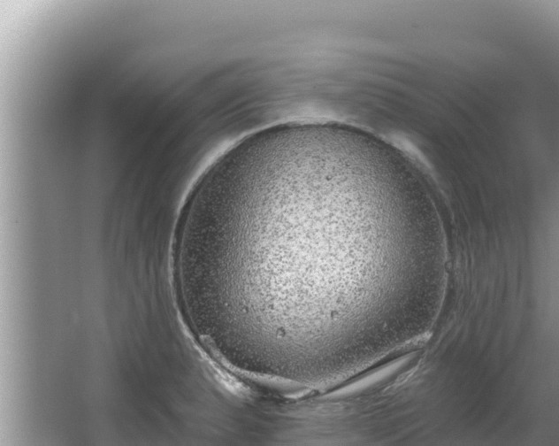 X0000067901183200604171355