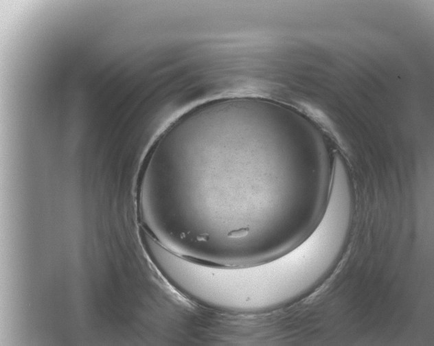 X0000067901184200604171355