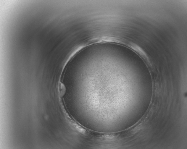 X0000067901190200604171355