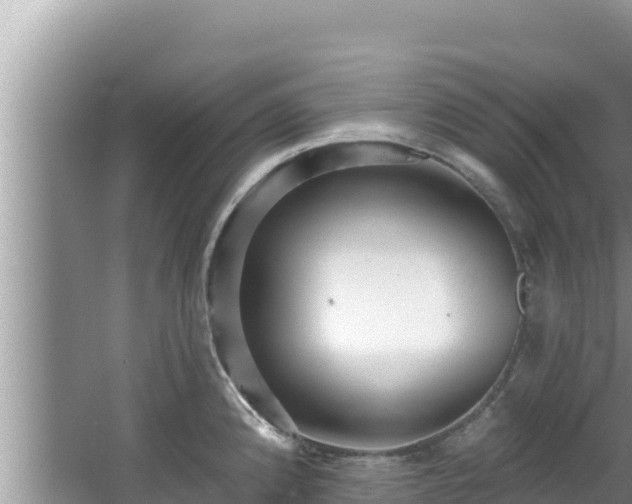 X0000067901192200604171355