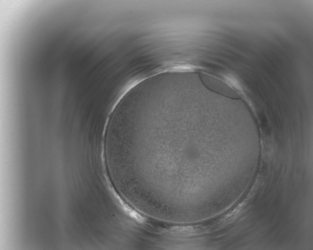 X0000067901194200604171355