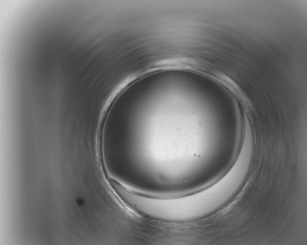 X0000067901196200604171355