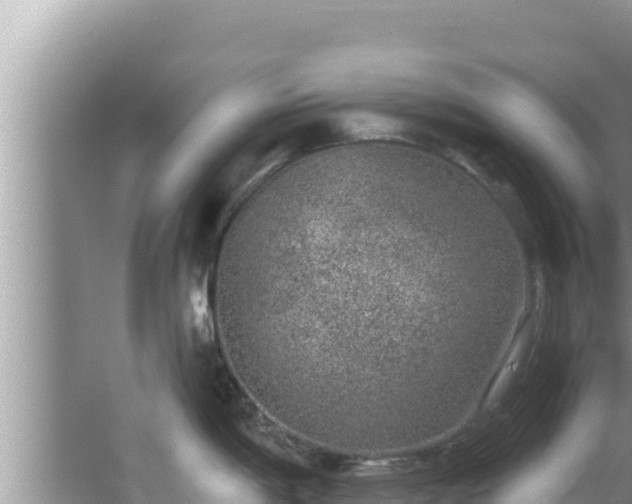 X0000067901198200604171355