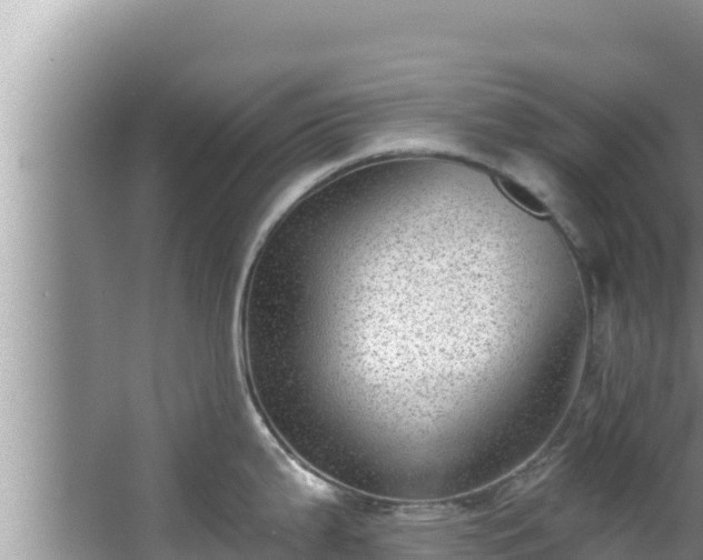 X0000067901199200604171355