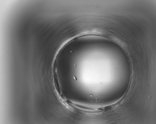 X0000067901200200604171355