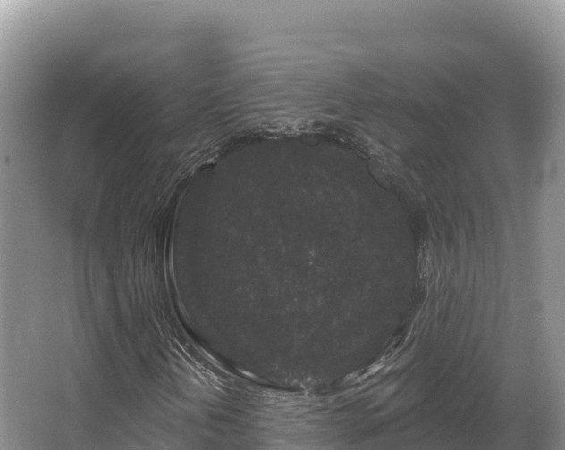 X0000067901202200604171354