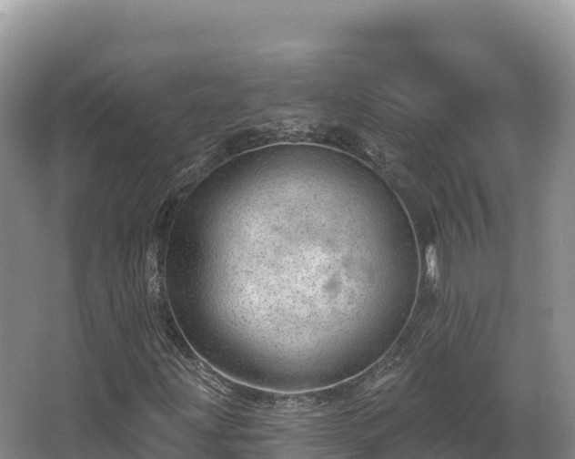 X0000067901203200604171354