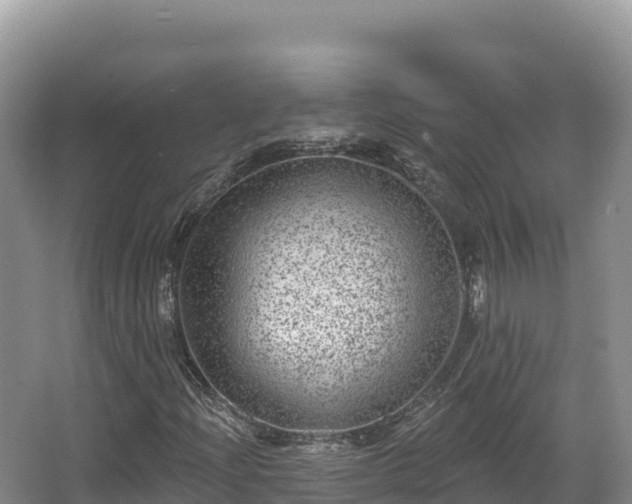 X0000067901204200604171354