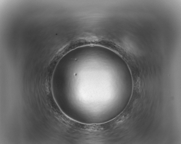 X0000067901205200604171354