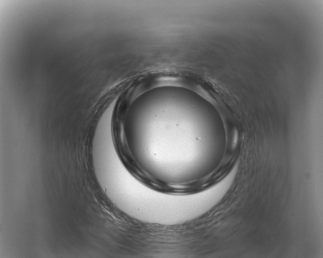 X0000067901206200604171354