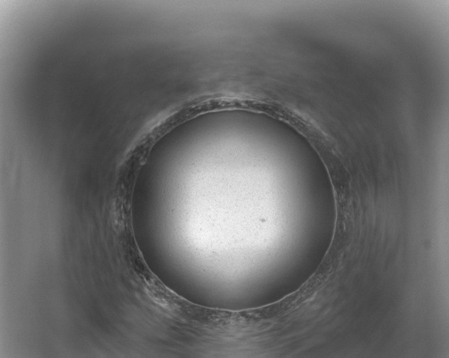 X0000067901207200604171354