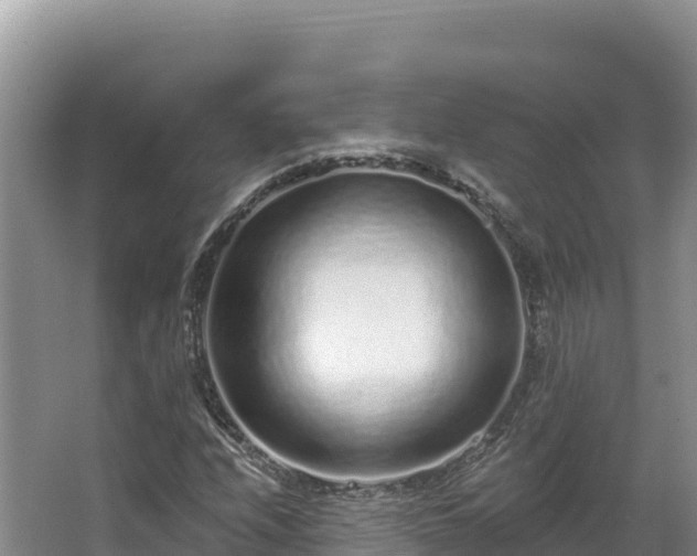 X0000067901208200604171354