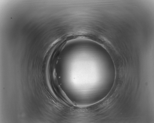 X0000067901210200604171354