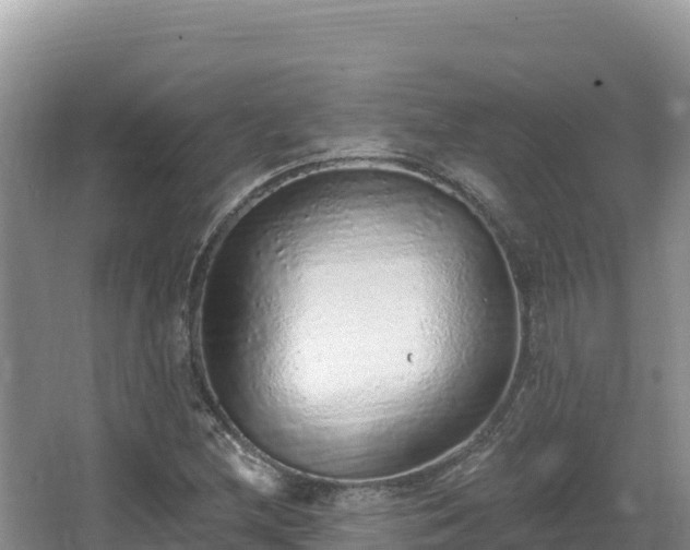 X0000067901212200604171354