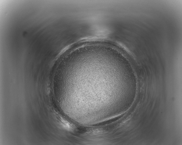 X0000067901213200604171354