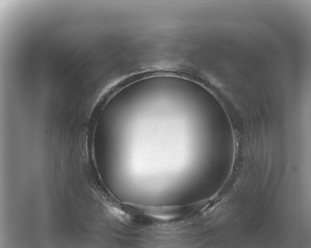 X0000067901214200604171354