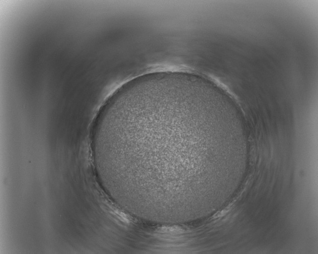 X0000067901215200604171354