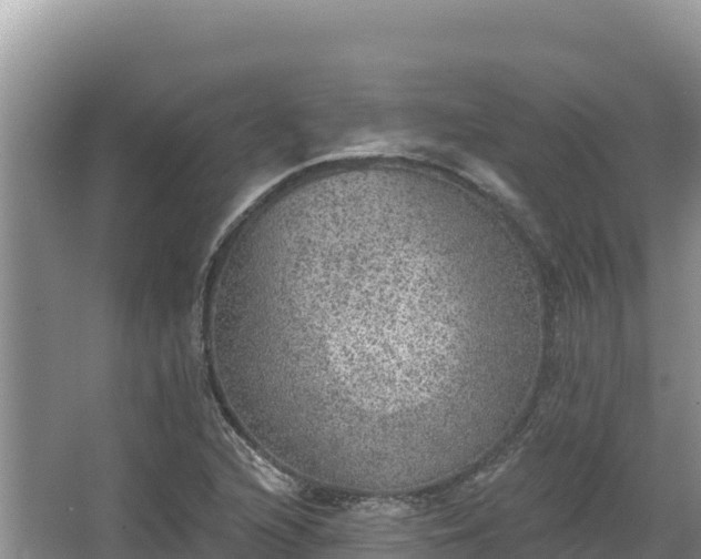 X0000067901216200604171354