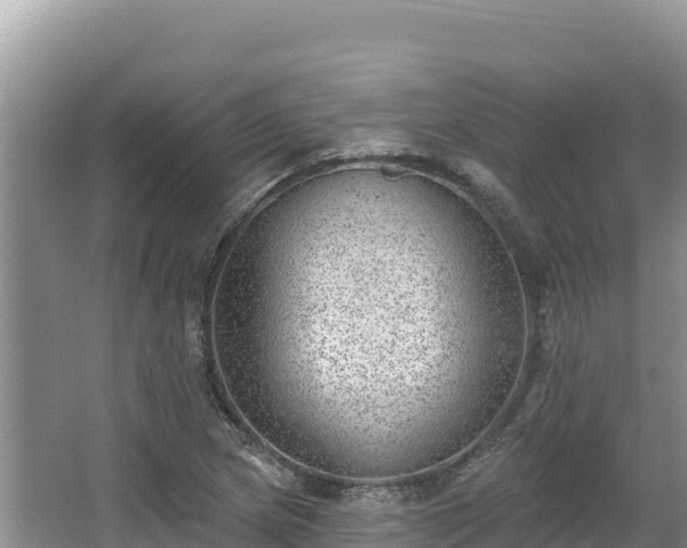 X0000067901217200604171354