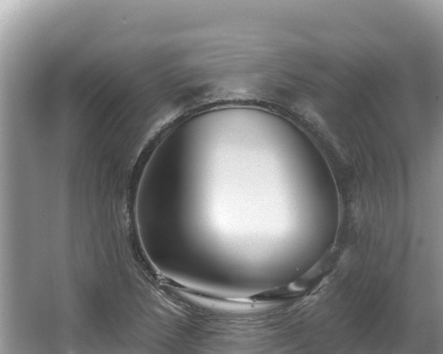 X0000067901218200604171354