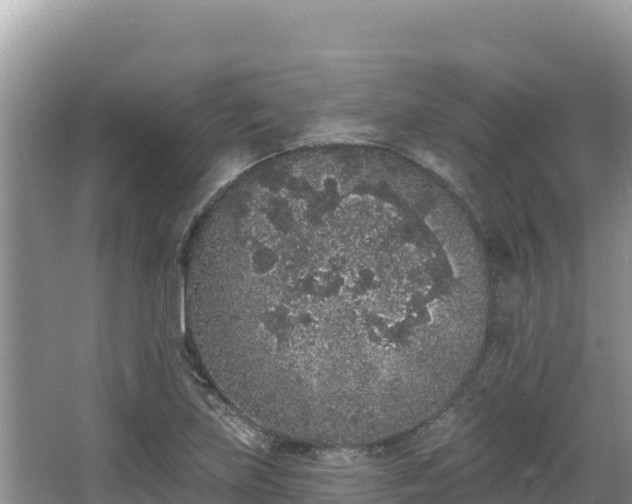 X0000067901219200604171354