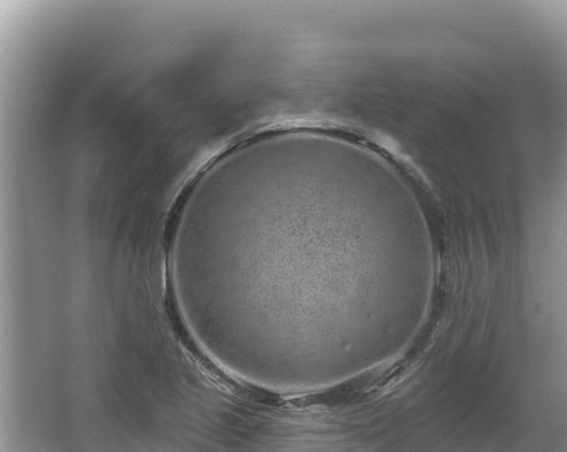 X0000067901221200604171354