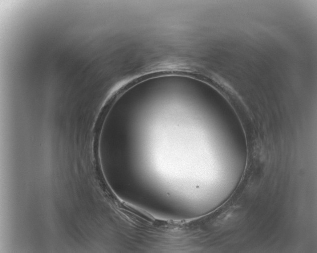 X0000067901222200604171354