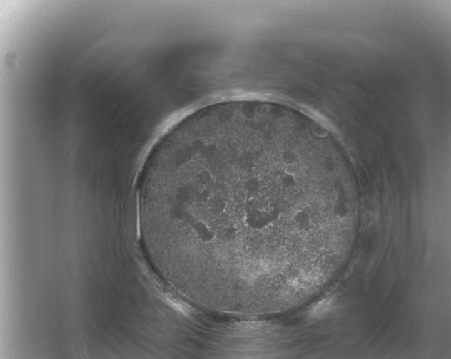 X0000067901223200604171354