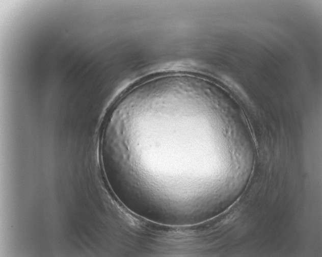 X0000067901224200604171354