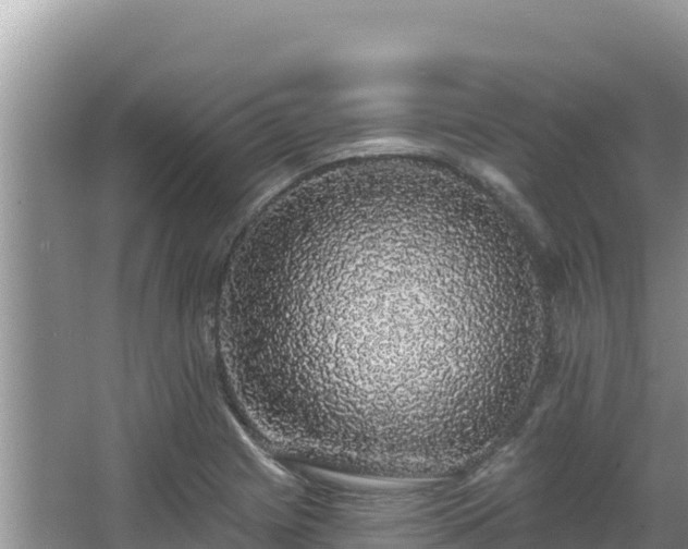 X0000067901225200604171354