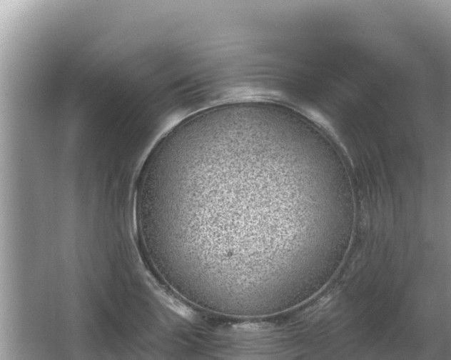 X0000067901227200604171354