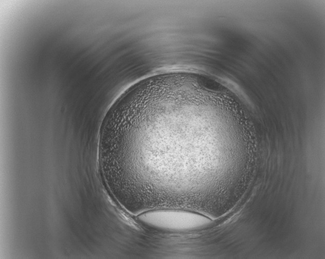 X0000067901228200604171354